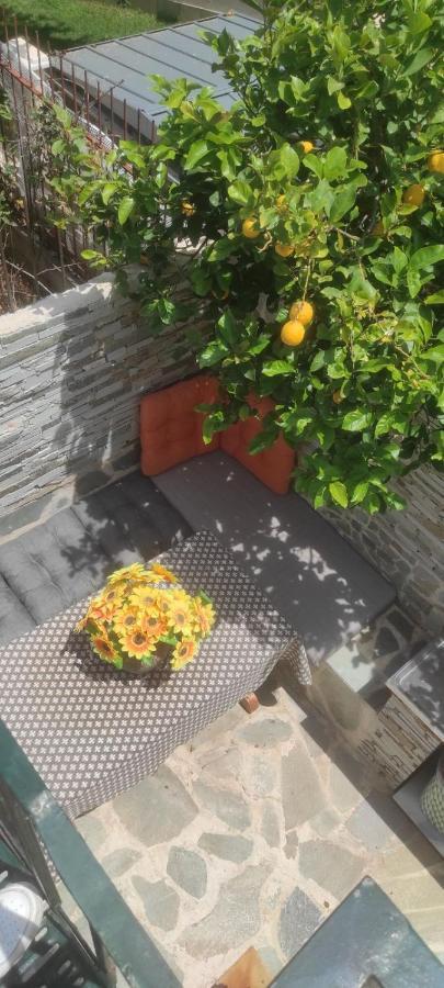 Shley House 1 Apartment Artemida  Ngoại thất bức ảnh